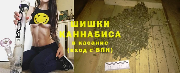 2c-b Белокуриха