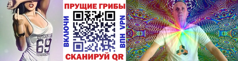 Галлюциногенные грибы Magic Shrooms  продажа наркотиков  Кстово 