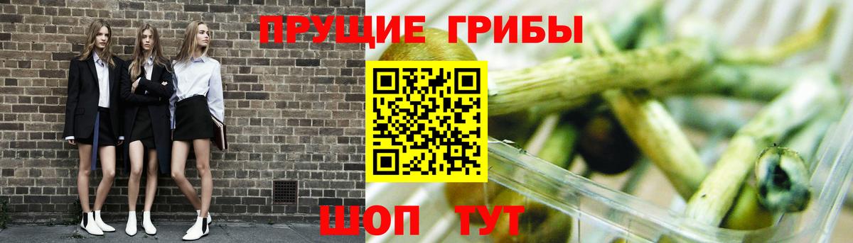 Галлюциногенные грибы прущие грибы Кстово